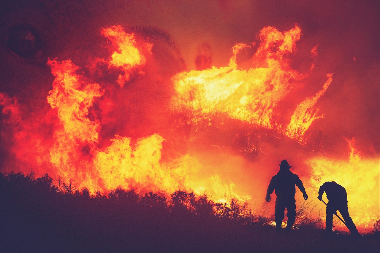 Forest fire stock atmosphere BC