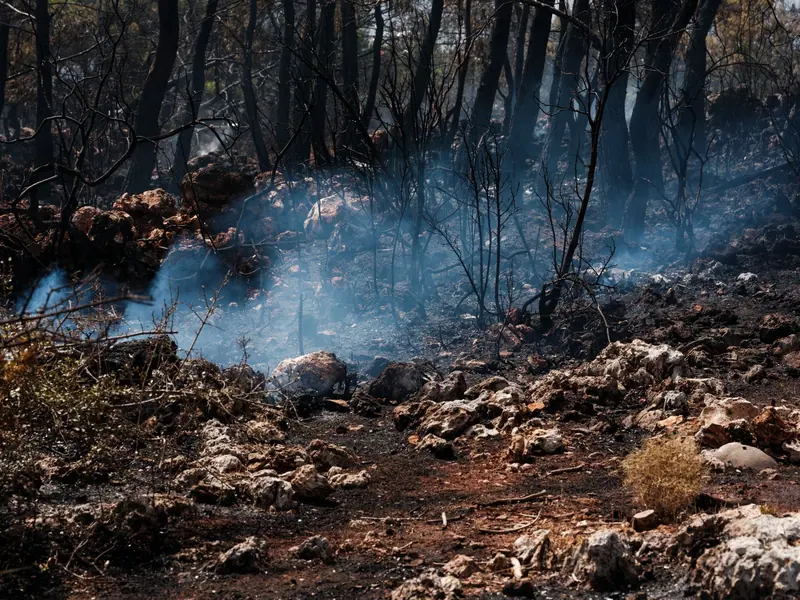 Smoke over a burn