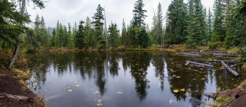 Alice Lake