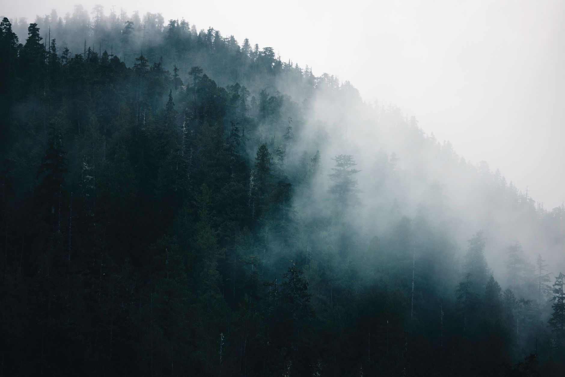 Alice Lake Provincial Park — Sea-to-Sky · Squamish