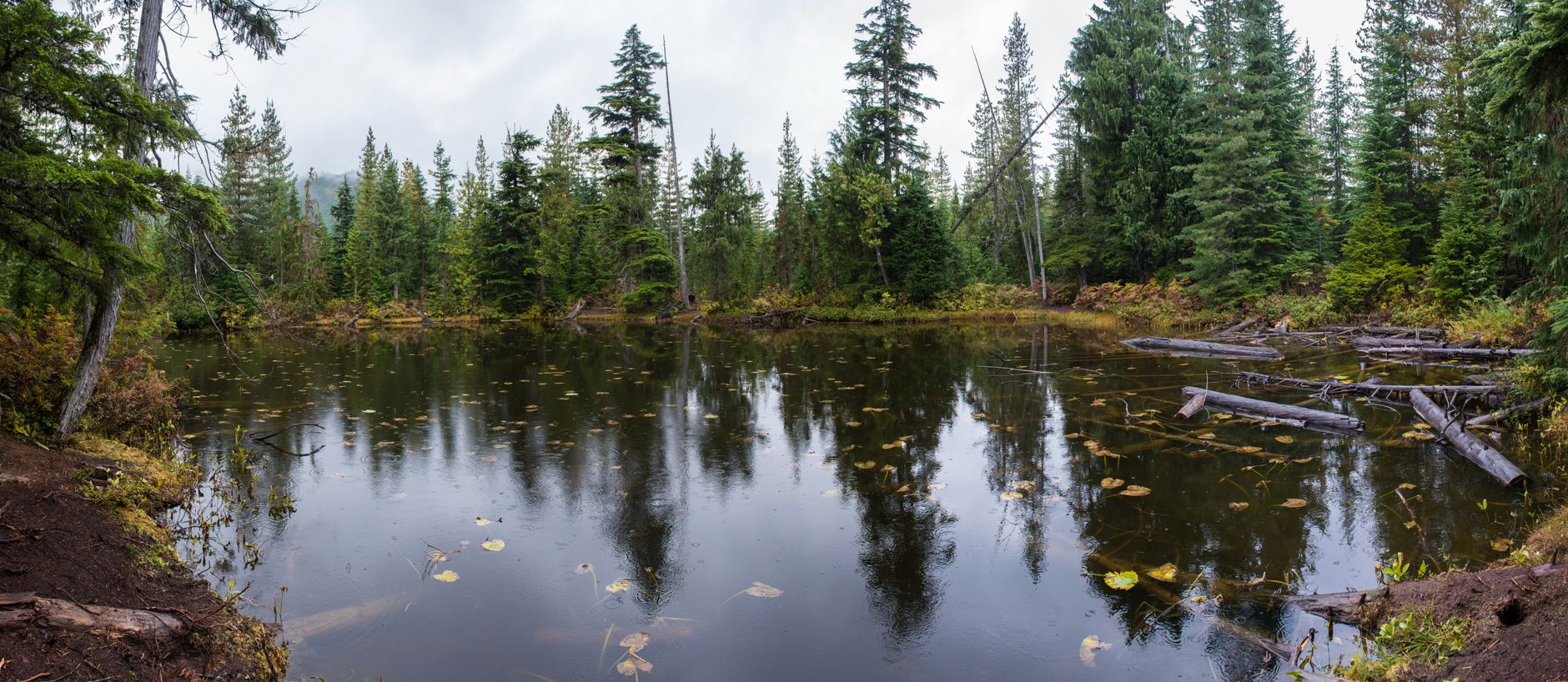 Forest-rimmed Alice Lake near Squamish, BC