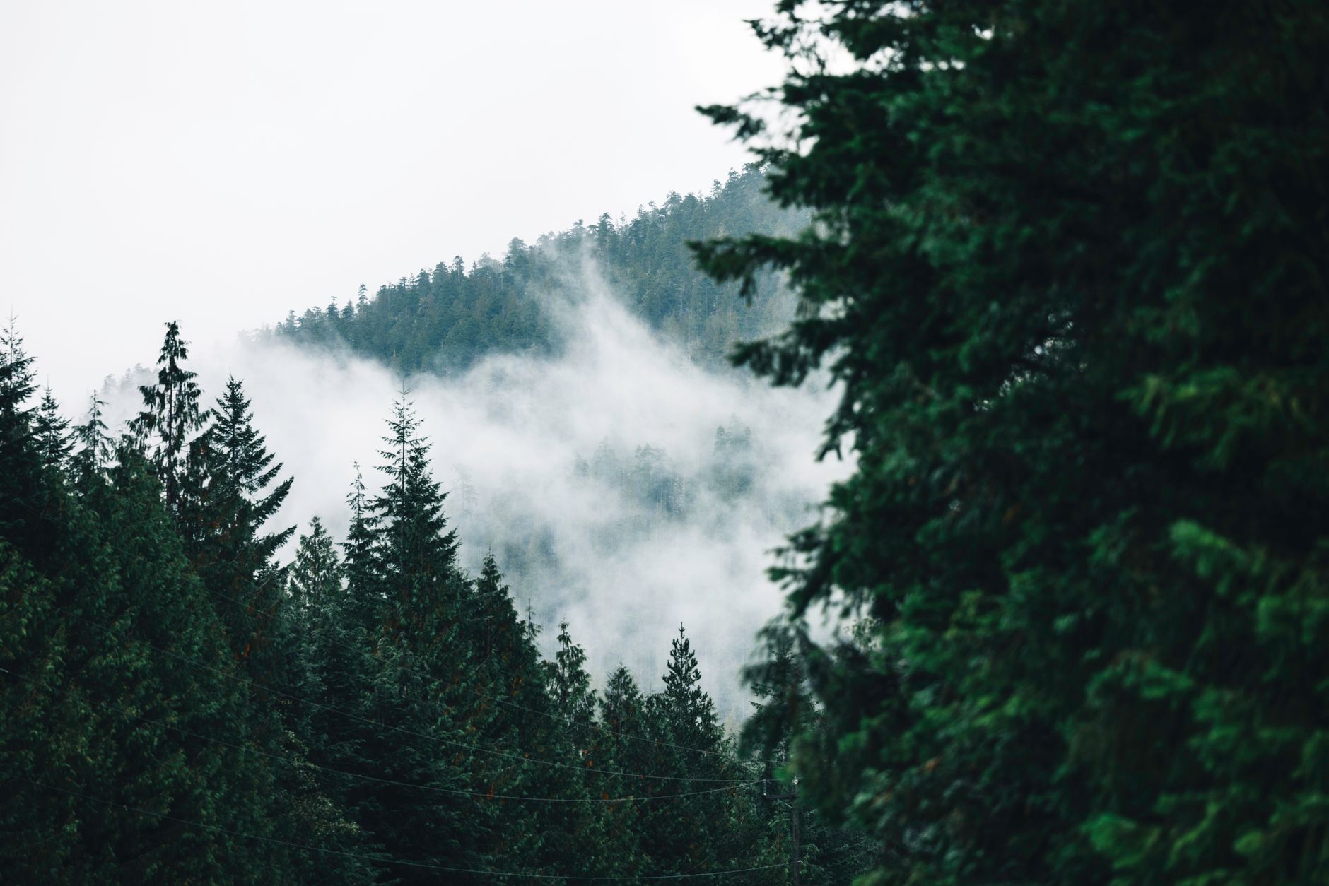 French Beach Provincial Park — Vancouver Island · Sooke / Juan de Fuca