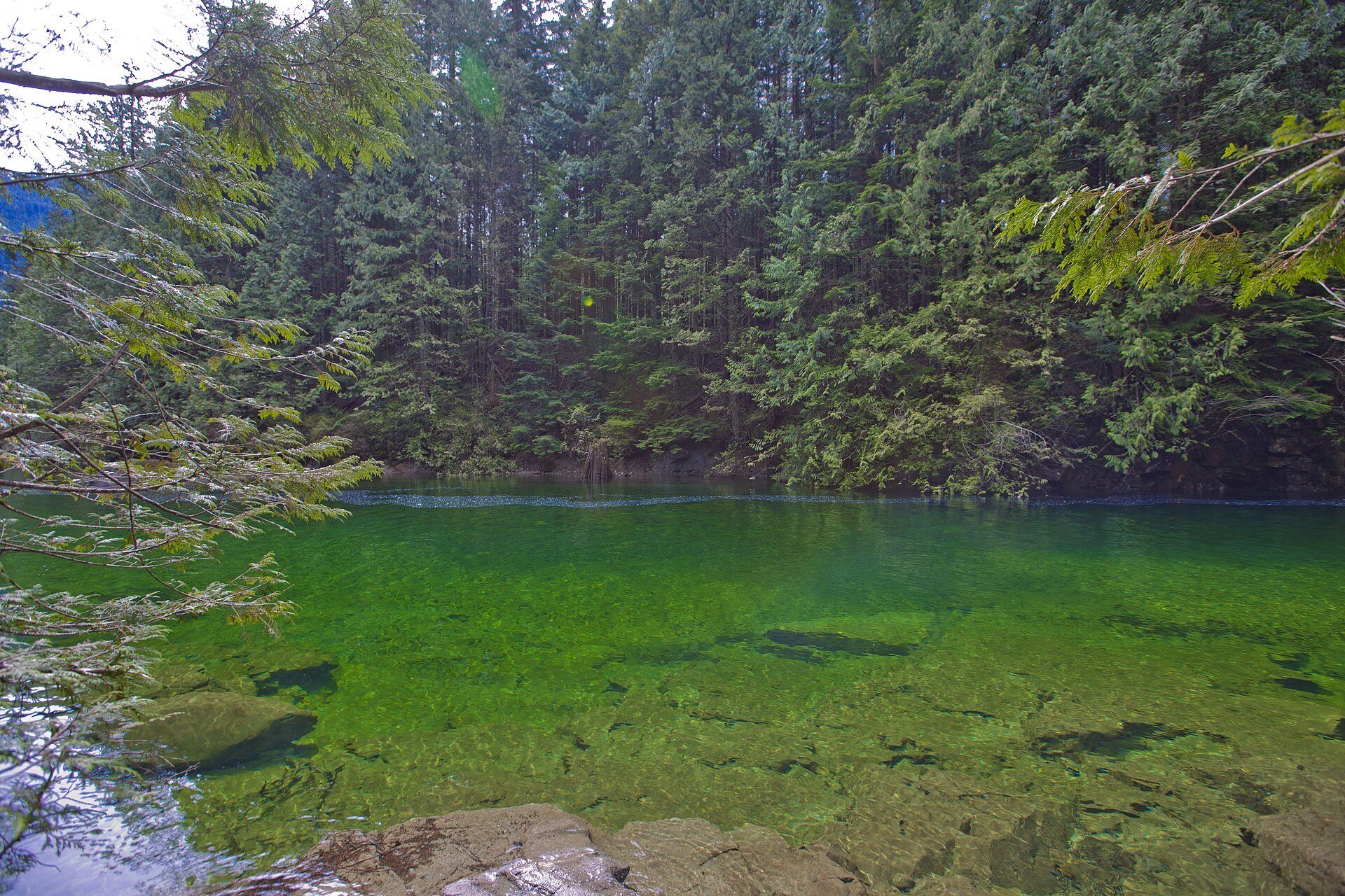 Mountain lake shoreline in Golden Ears Provincial Park, BC
