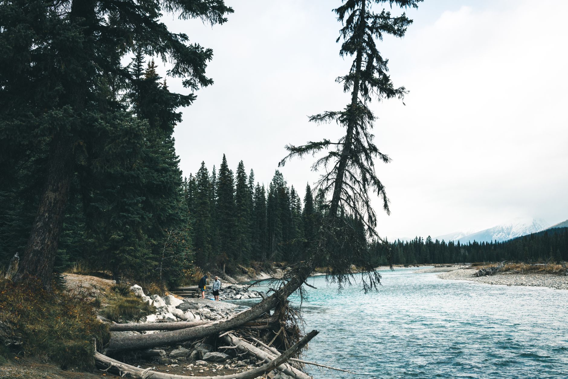 Kokanee Creek Provincial Park — Kootenays · Nelson area