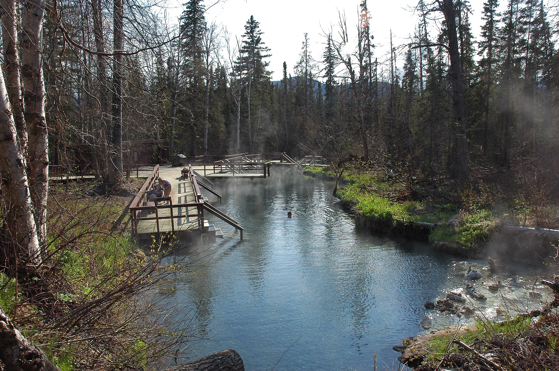 Steam and forest boardwalk at Liard Hot Springs, BC