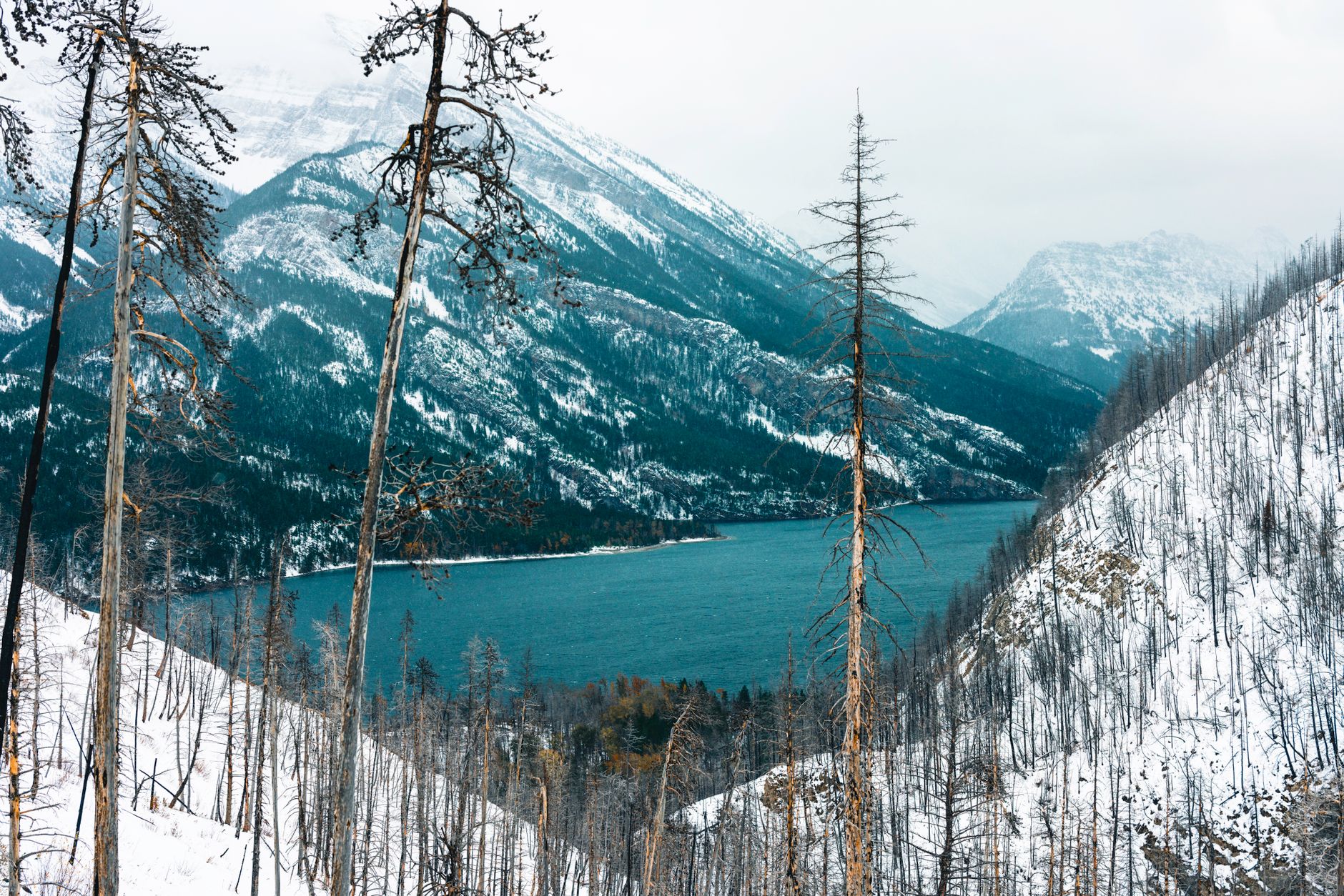 Okanagan Lake Parks (Bear Creek, Fintry & backups) — Okanagan