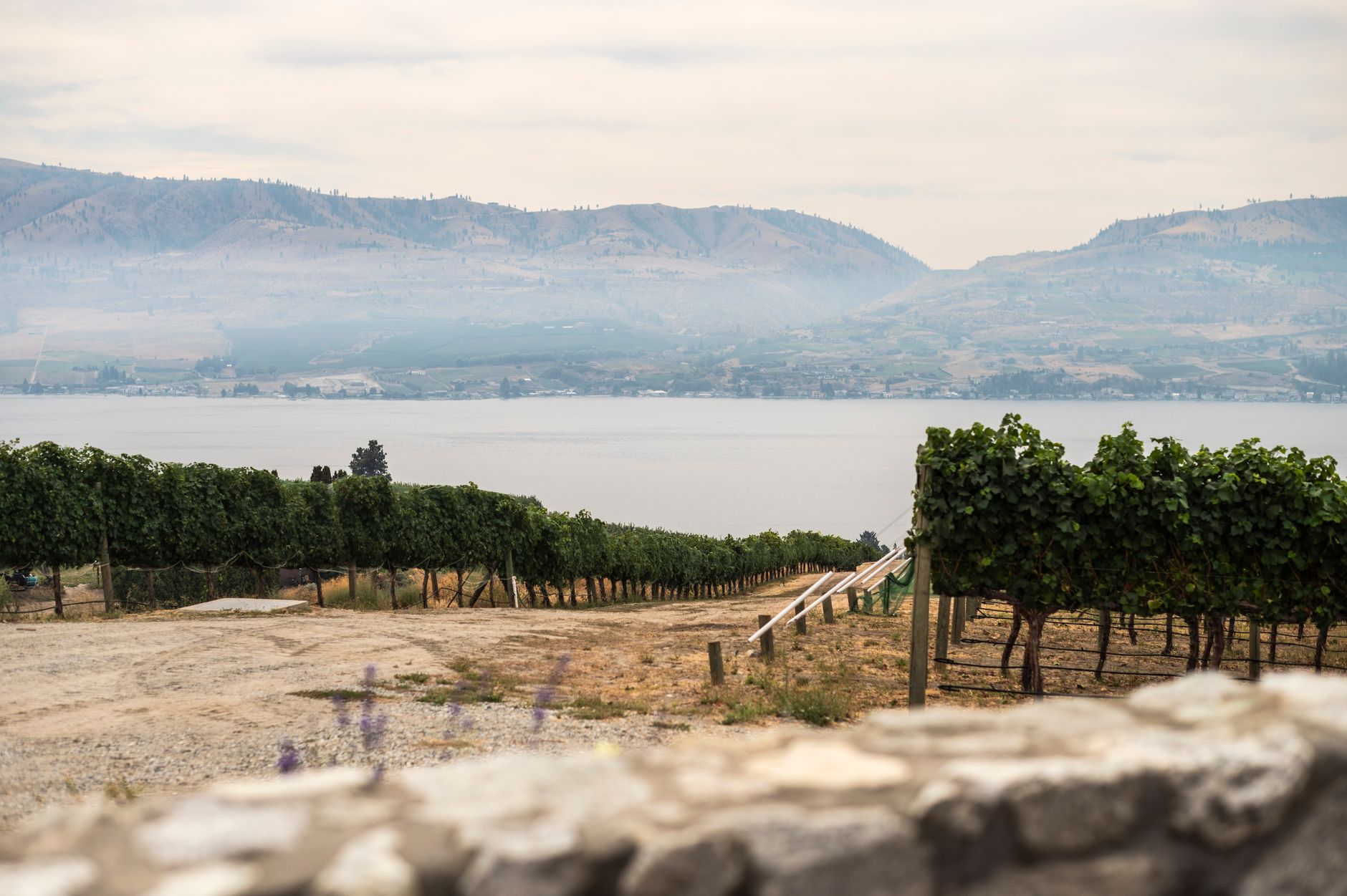 Okanagan Lake and sunlit hills, British Columbia