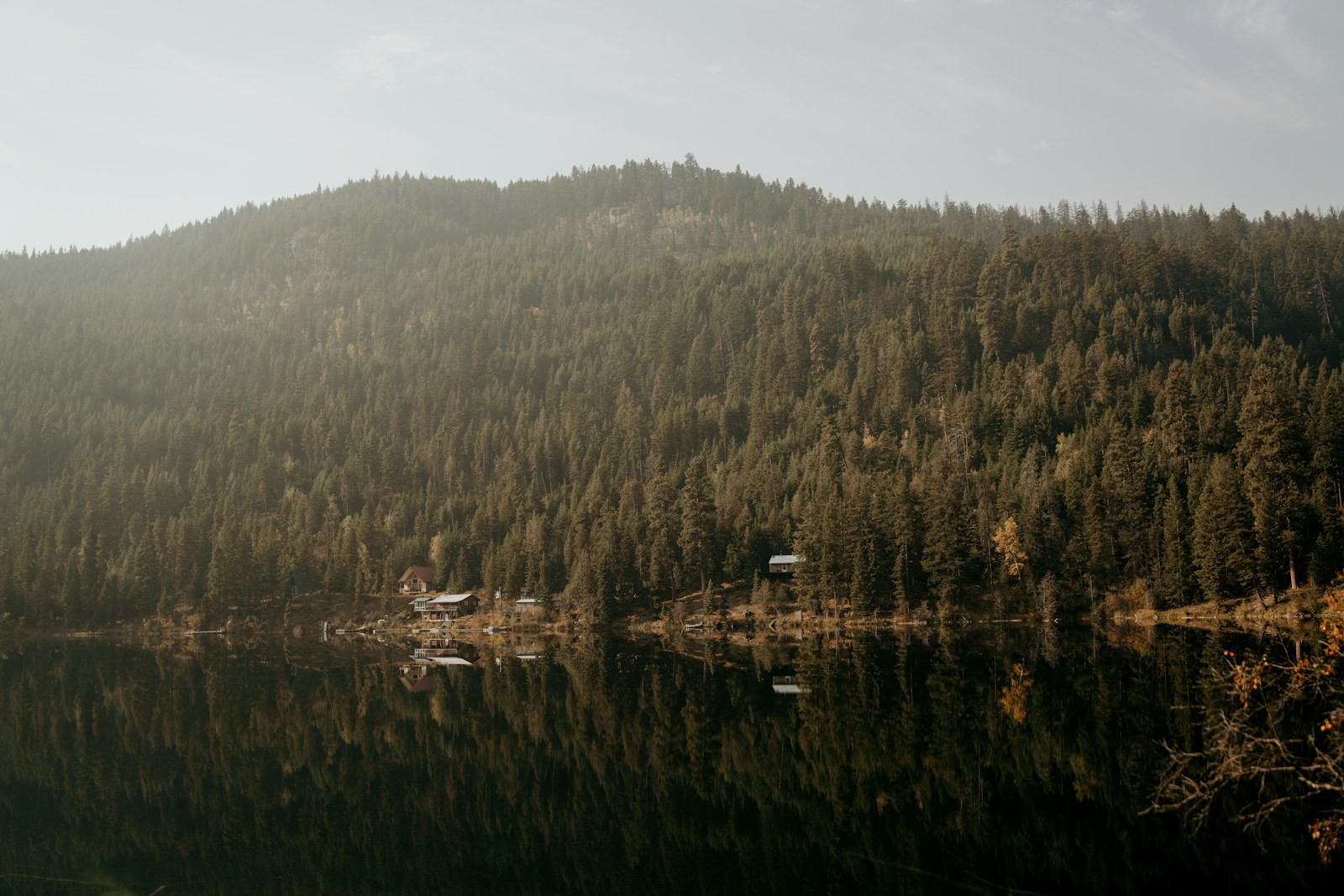 Shuswap Lake (Scotch Creek & area) — Shuswap · Interior