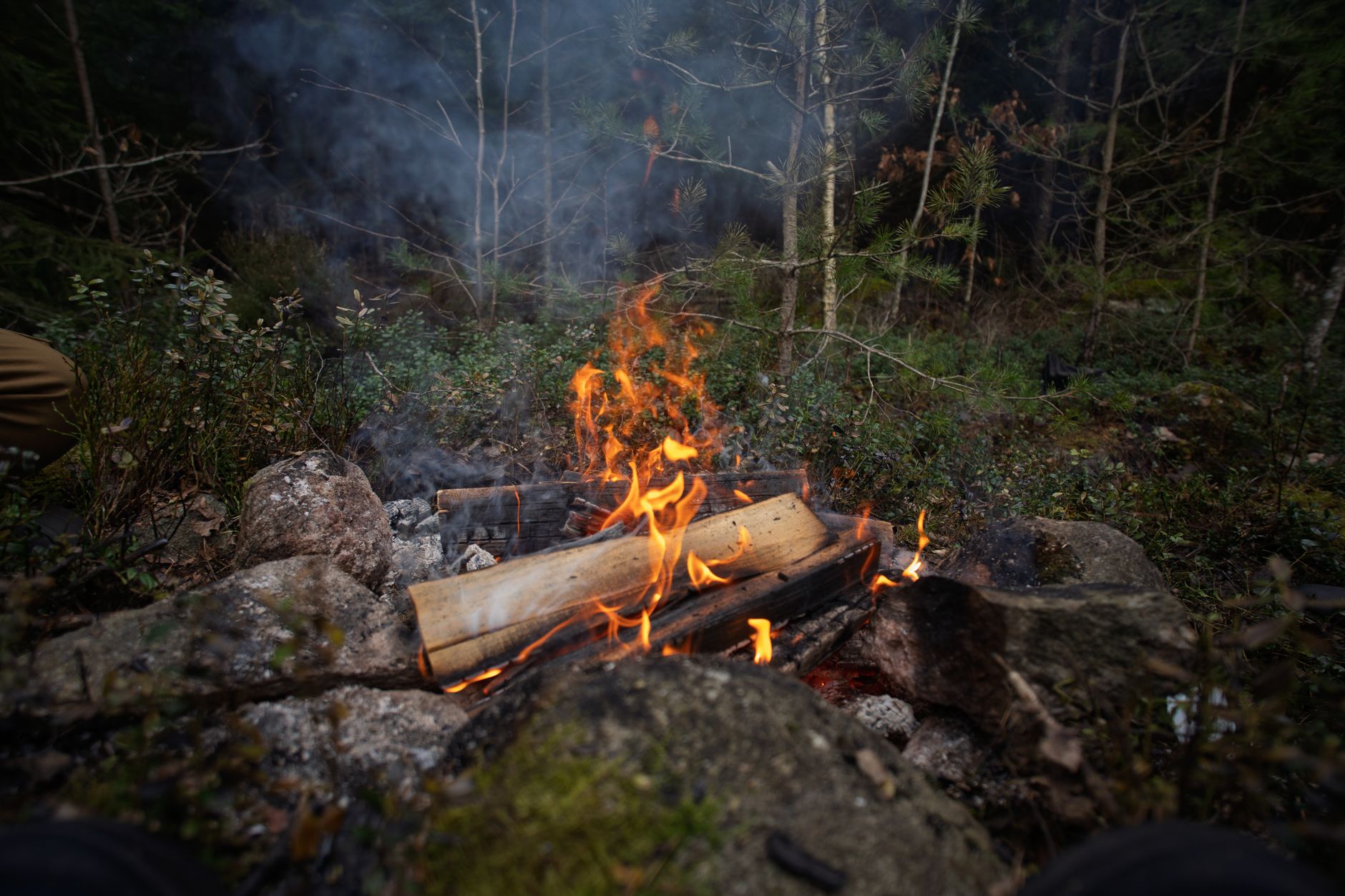 Fire Craft for BC Camping — Legal, Wet, and Lifesaving