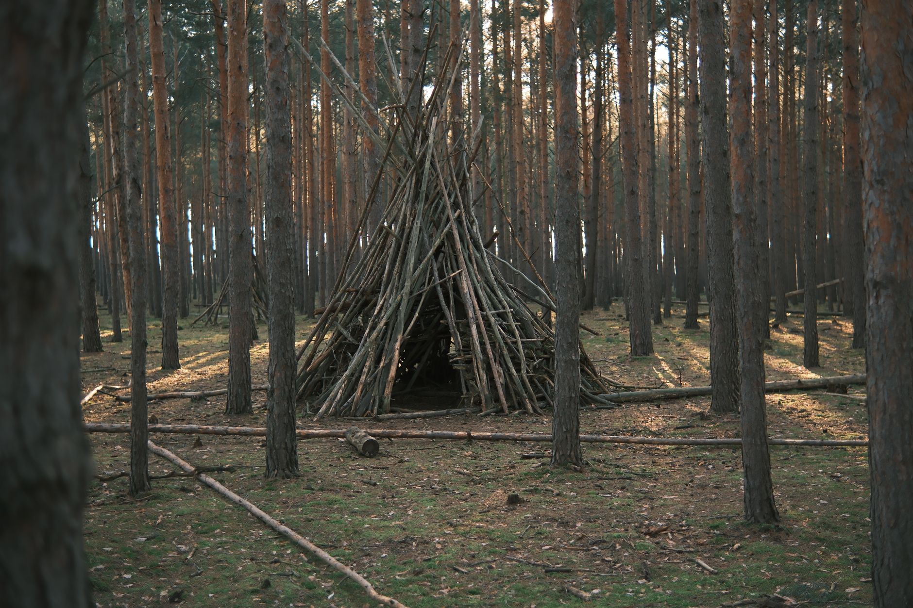 Emergency shelter