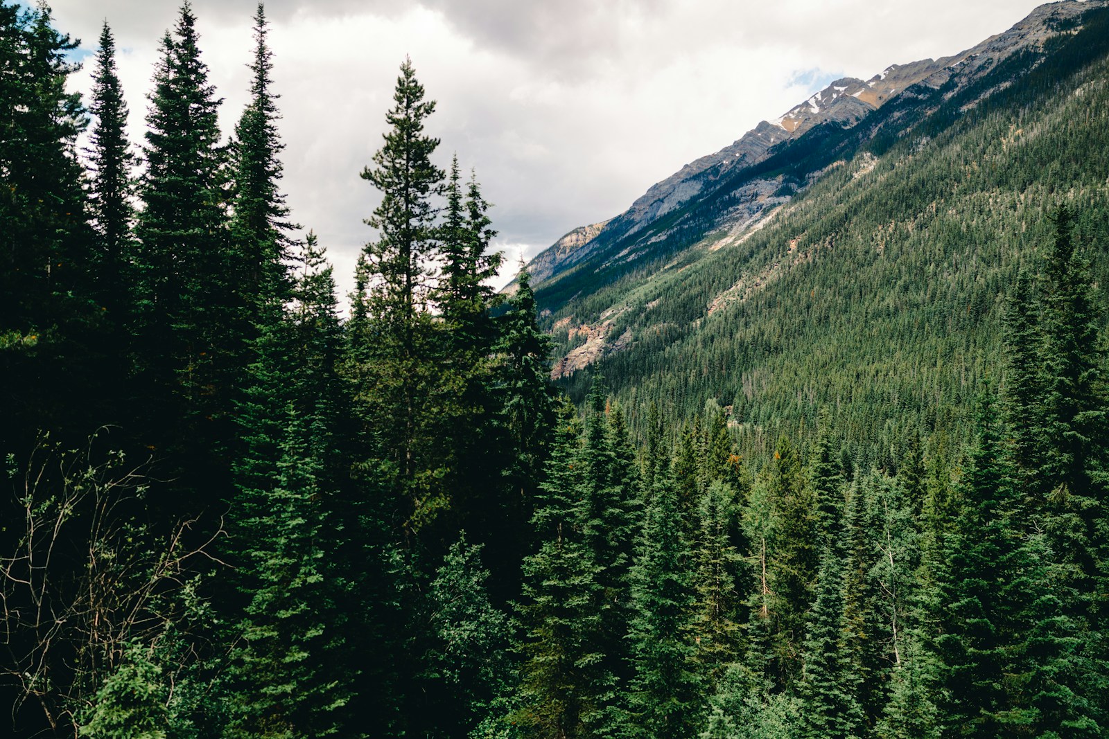 Wells Gray Provincial Park — Cariboo · Clearwater