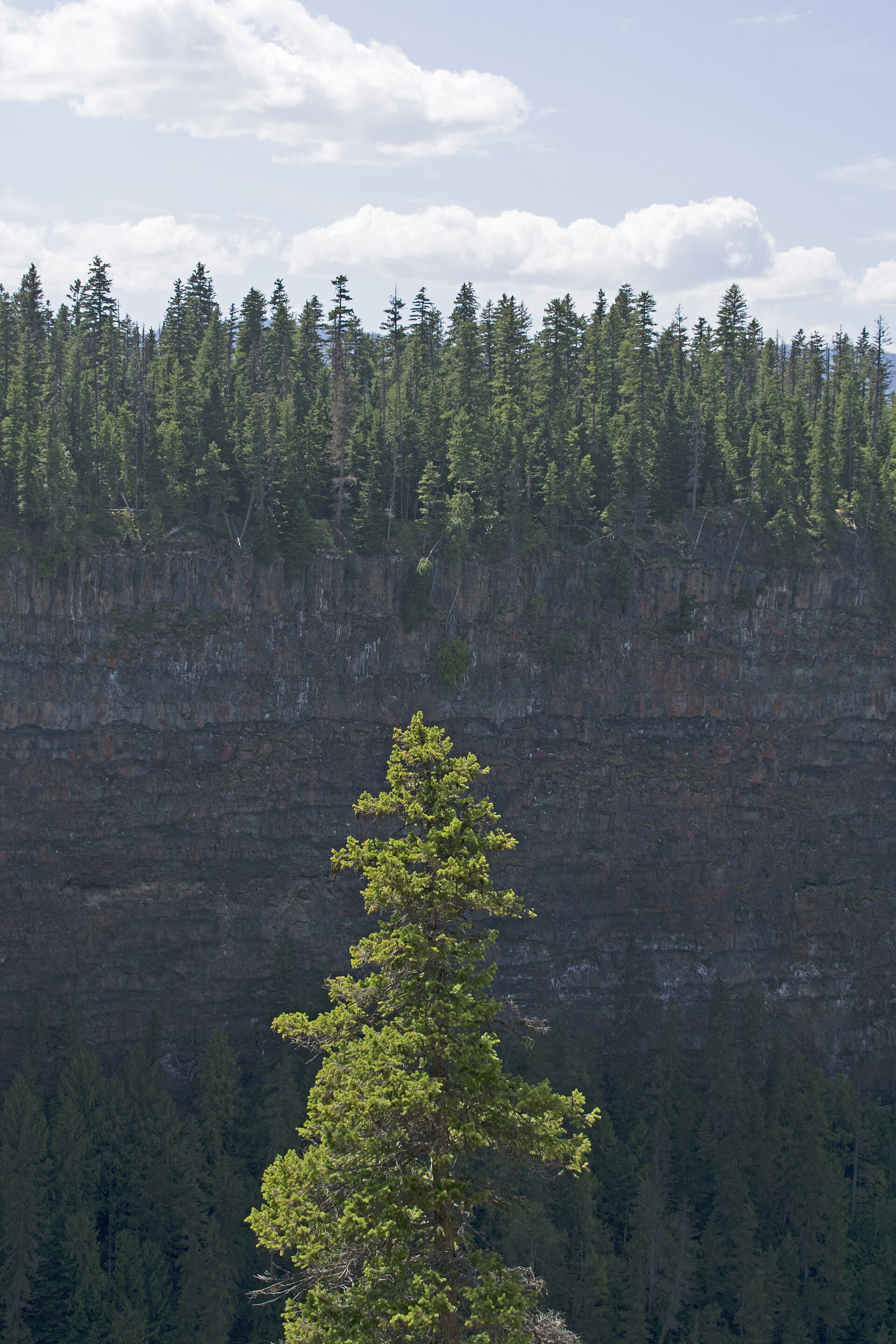 Helmcken Falls in Wells Gray Provincial Park, BC