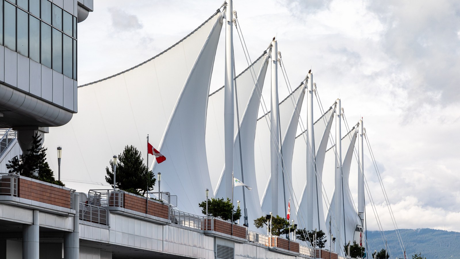 The white sails of Canada Place, Vancouver's cruise terminal