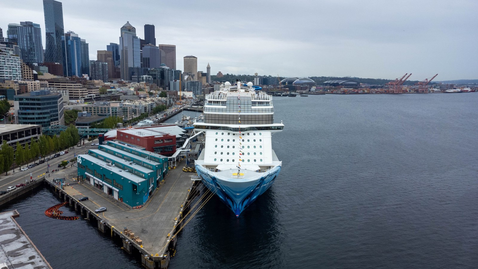 Norwegian Bliss