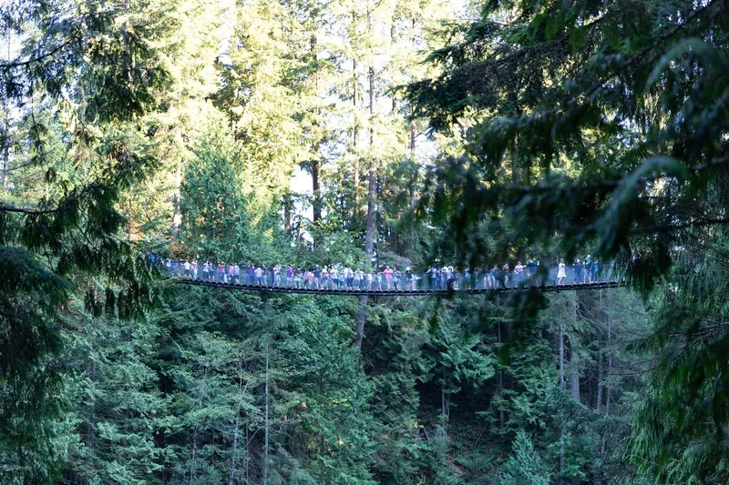 Capilano Bridge