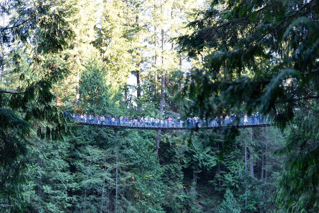 Capilano Suspension Bridge over the canyon, North Vancouver
