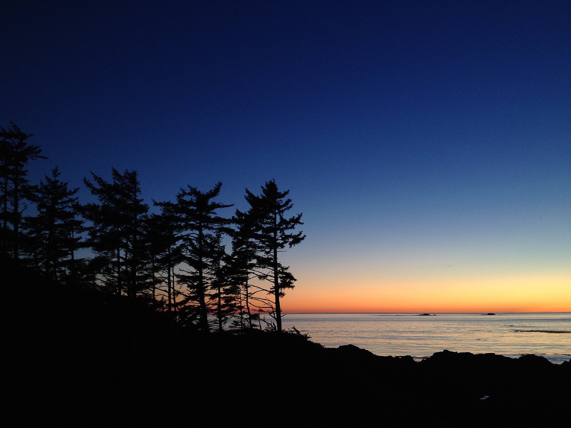 Sunset over old-growth silhouettes in Clayoquot Sound UNESCO Biosphere Reserve