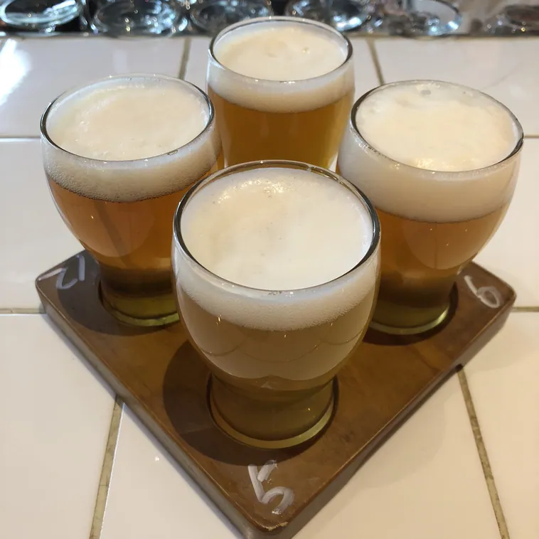 Yeast Van Pub Crawl
