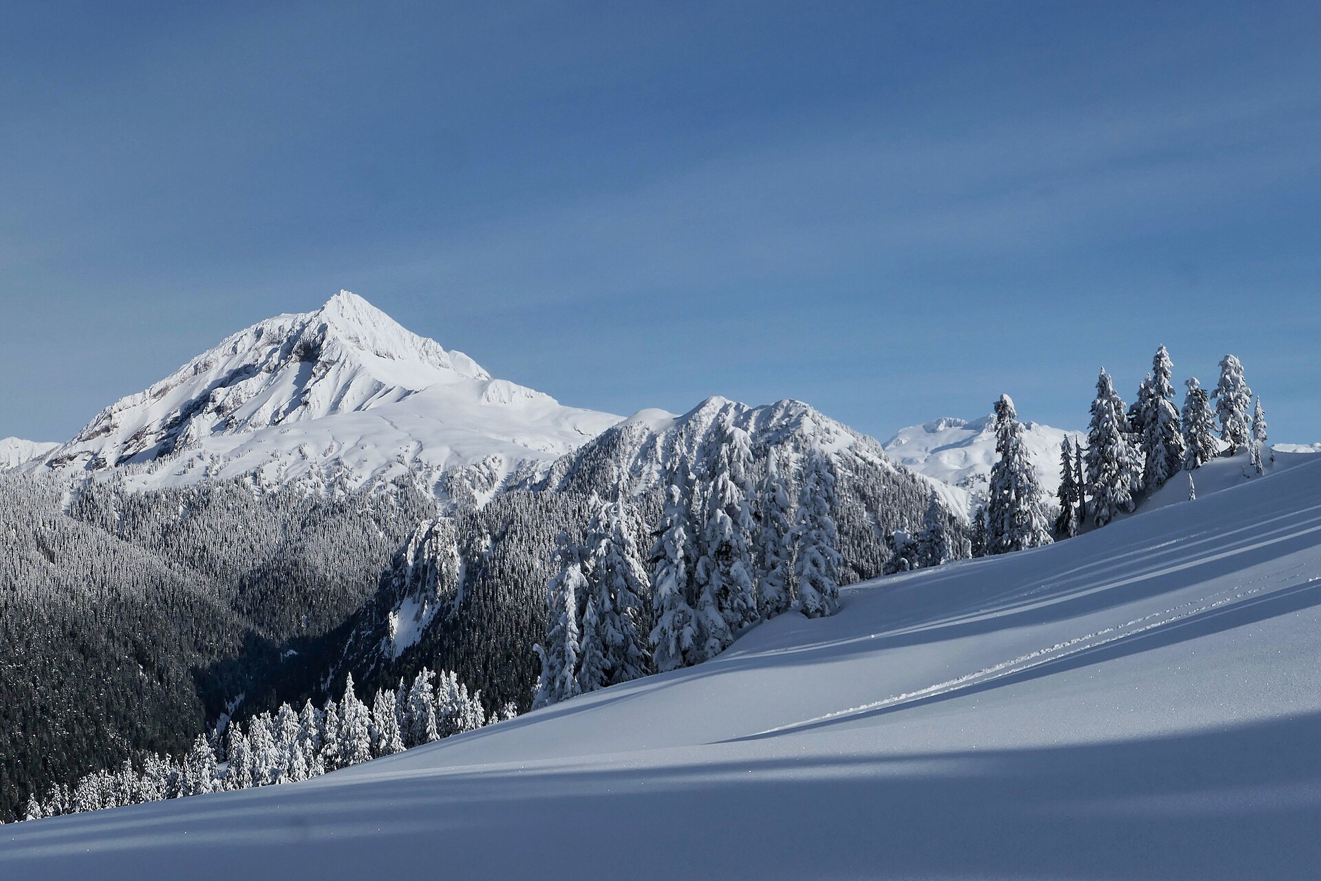 Mount Garibaldi and alpine meadows near Elfin Lakes, Garibaldi Provincial Park