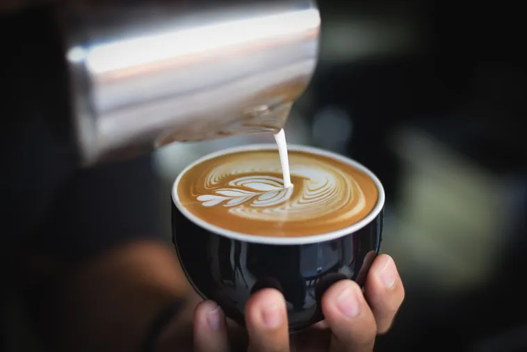 Best Coffee Shops