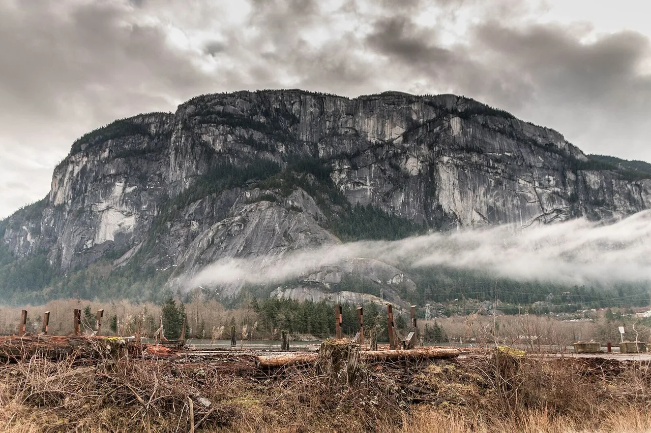 Best Hikes Near Vancouver: Easy, Moderate & Hard (with Map)