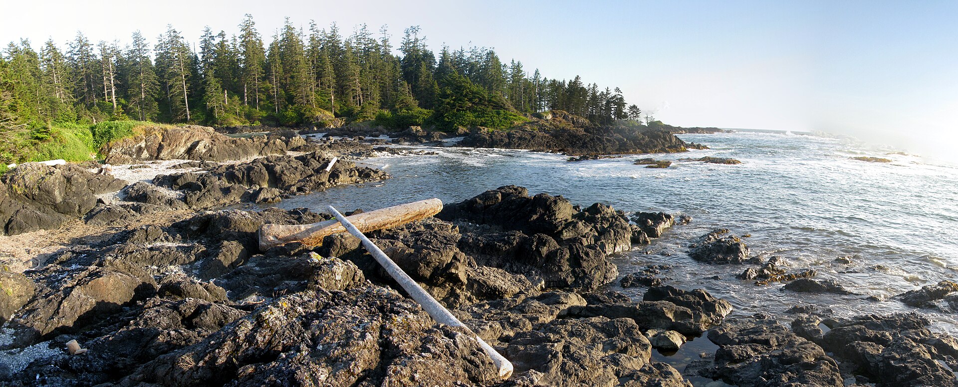 Wild Pacific Rim shoreline en route through Clayoquot Sound