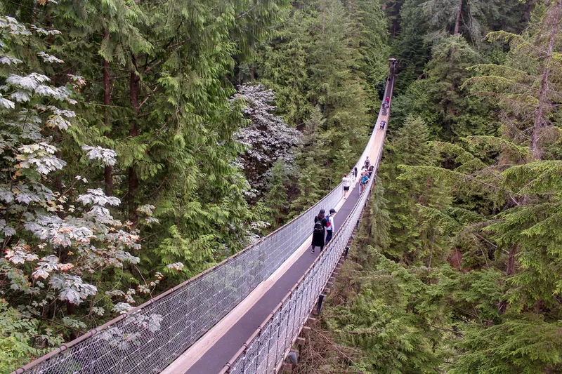 Capilano Suspension Bridge above the rainforest canyon