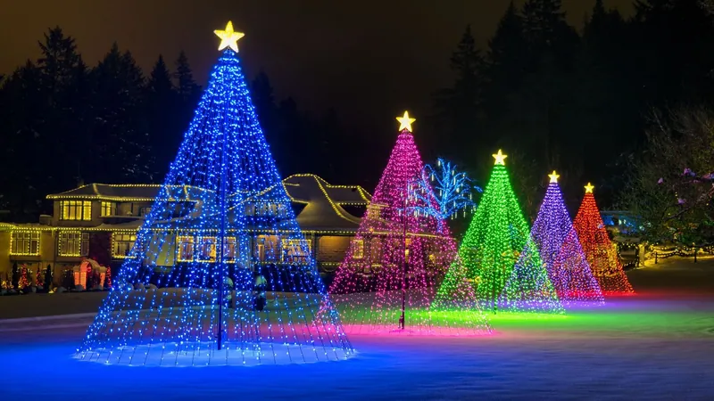 Árboles de luces sobre césped nevado