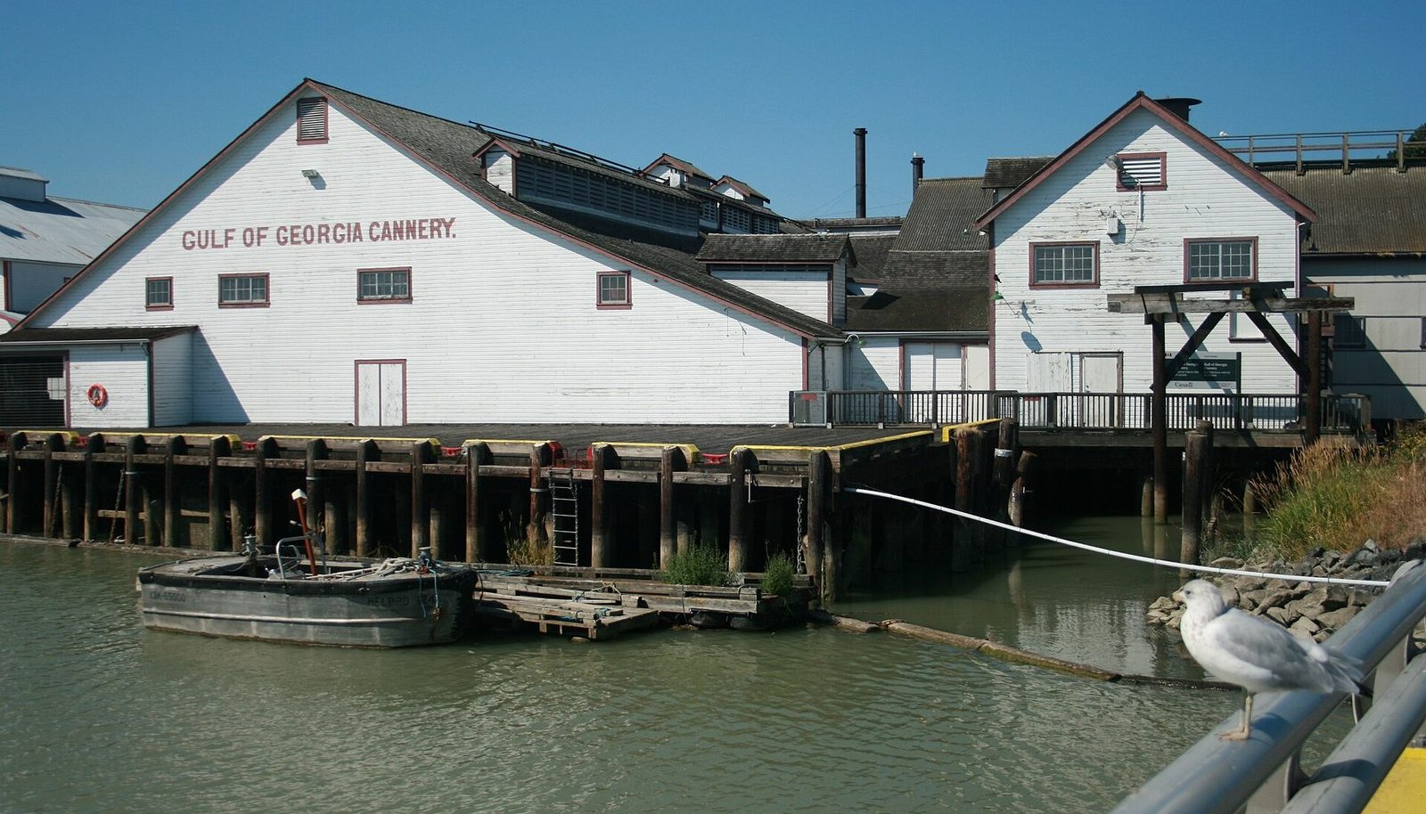 The white Gulf of Georgia Cannery building on the Steveston waterfront with a seagull on the railing