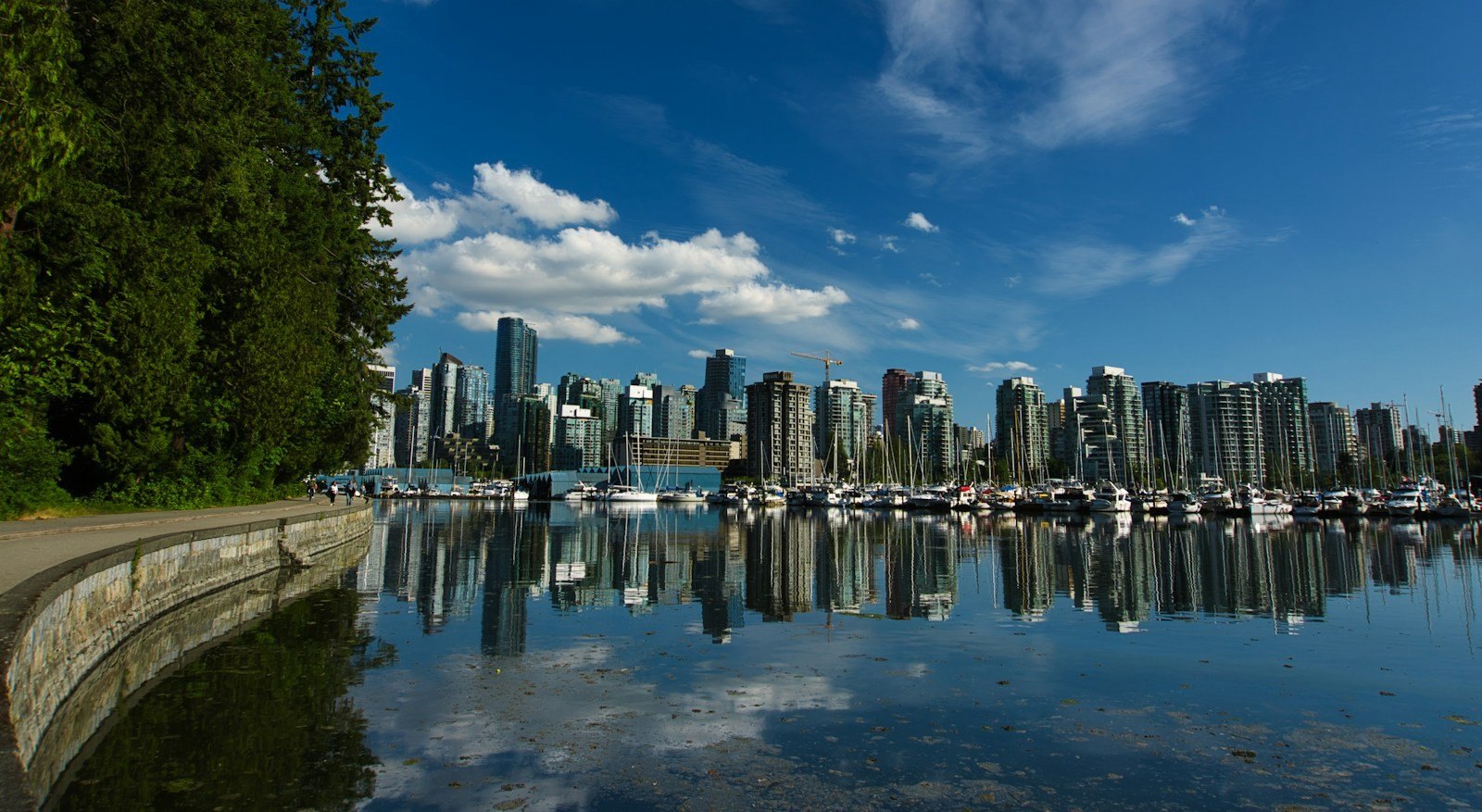 Coal Harbour towers and marina seen from the Stanley Park seawall on a sunny day