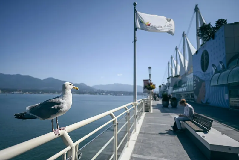 Vancouver Harbour