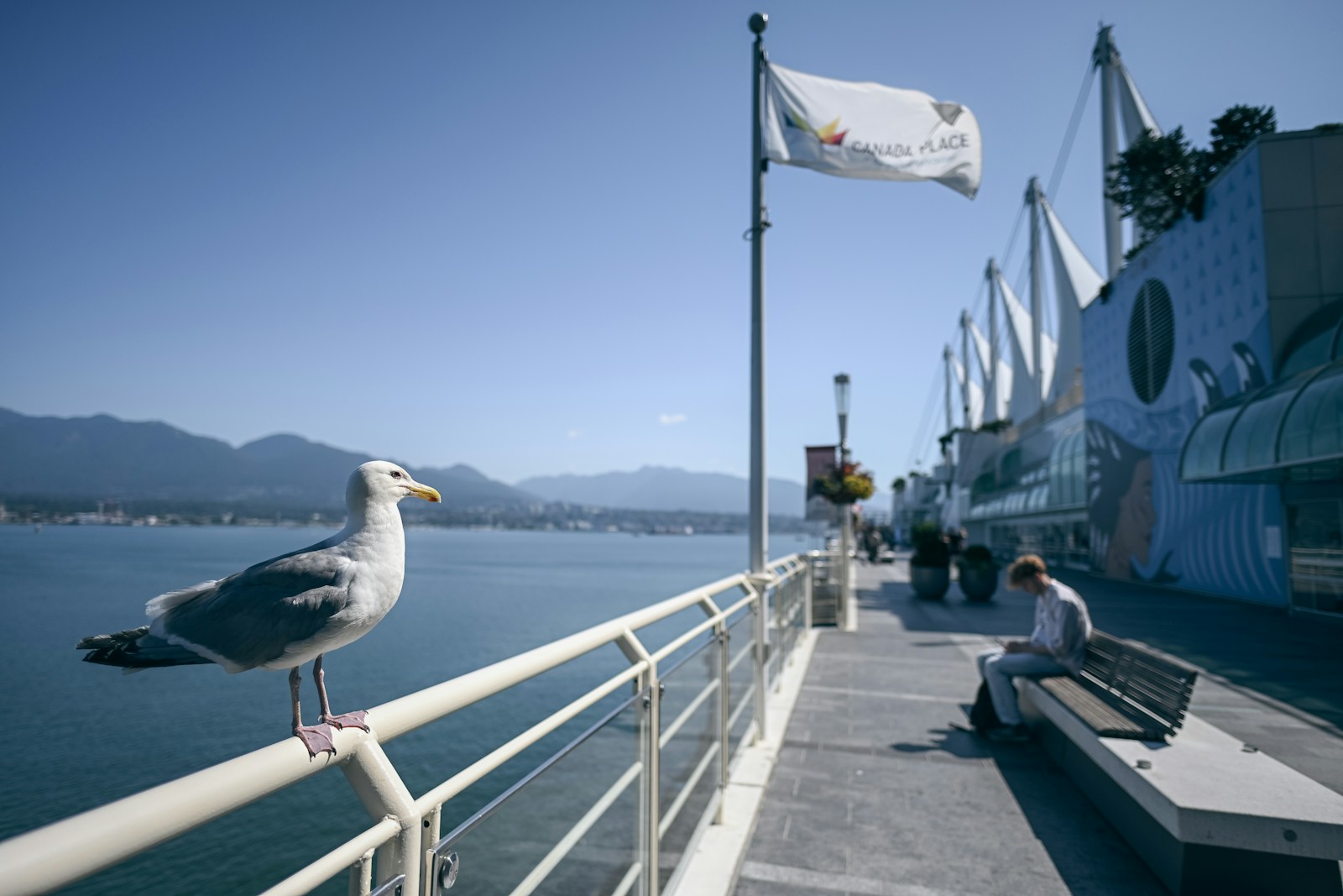 The sails of Canada Place on the Vancouver waterfront