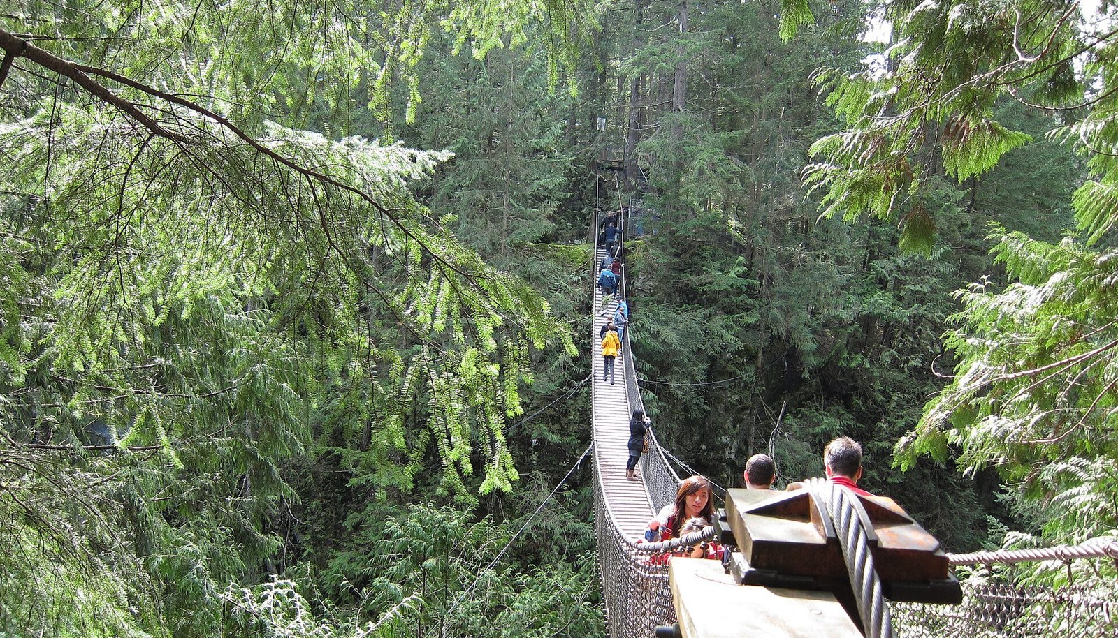 Families crossing the narrow Lynn Canyon suspension bridge through a green rainforest canopy