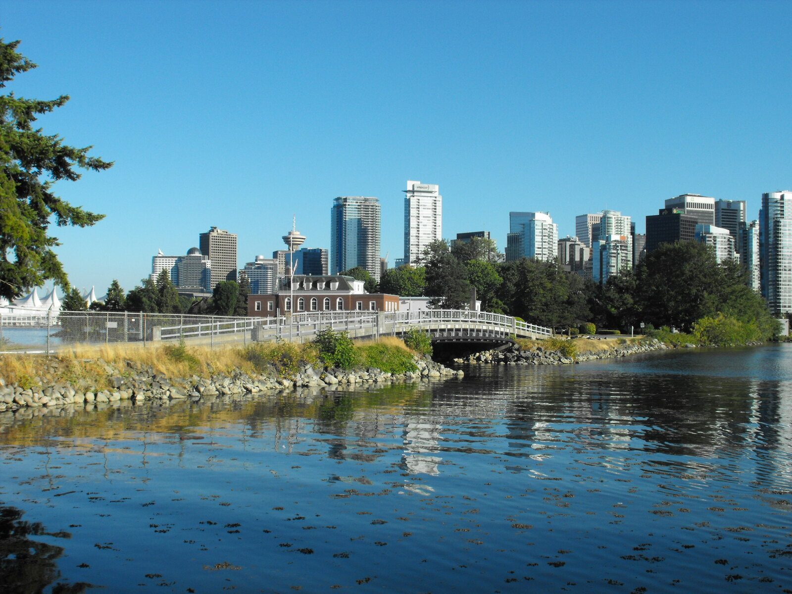 HMCS Discovery on Deadman's Island seen from Stanley Park