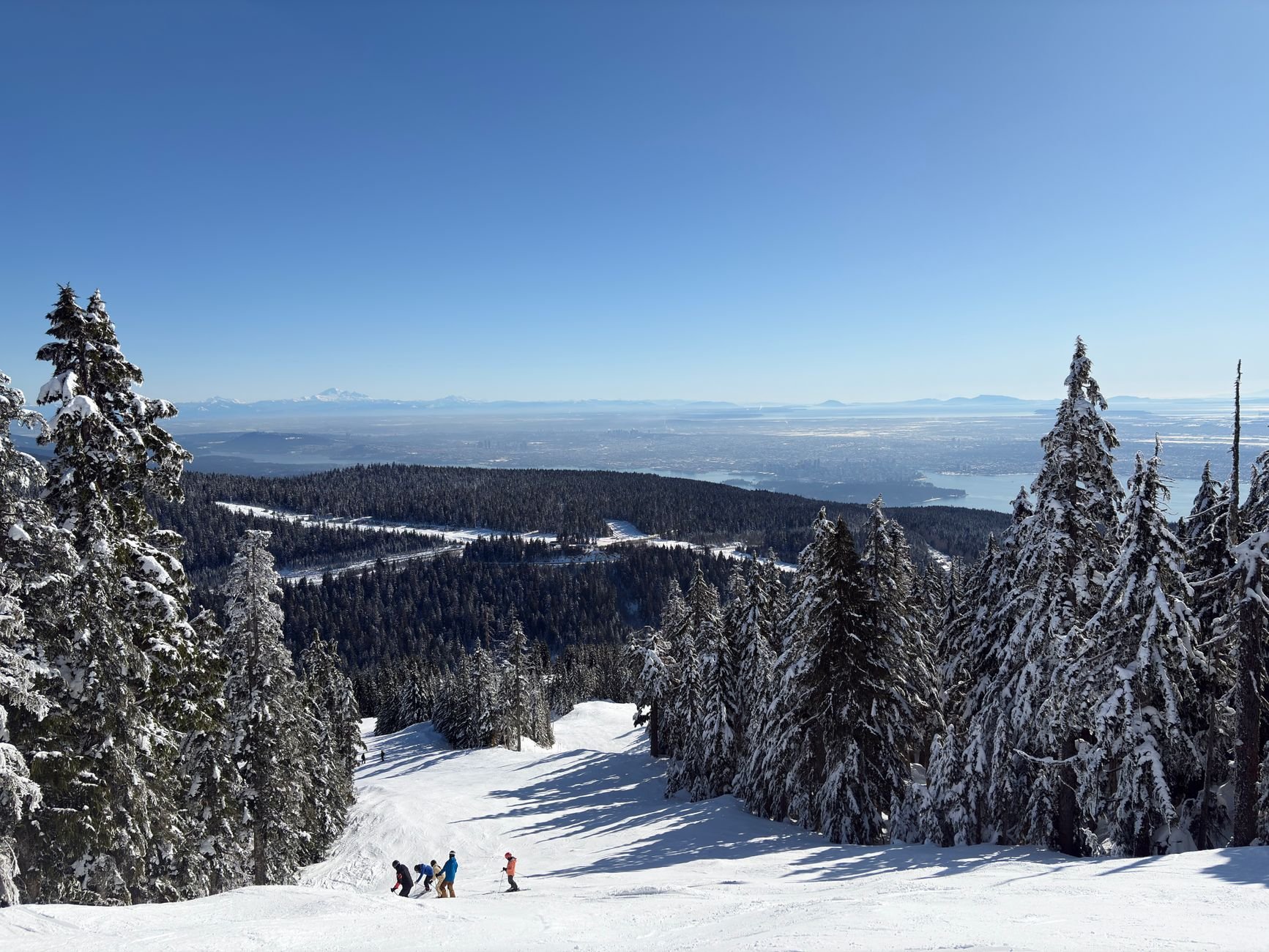 Skifahrer auf einer verschneiten Piste zwischen bereiften Tannen, tief unten Stadt und Meer