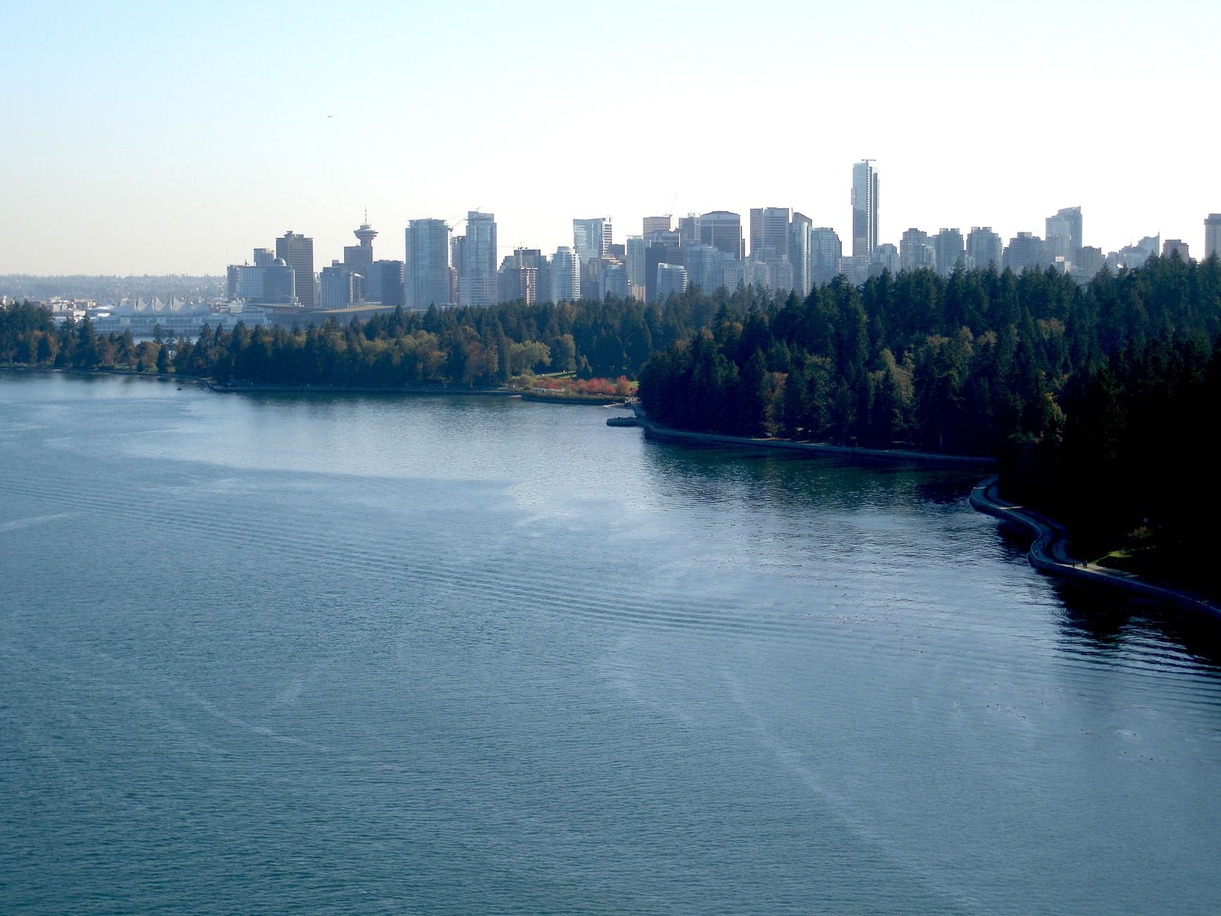 Вежі центру Ванкувера за лісом Stanley Park, вигляд через воду