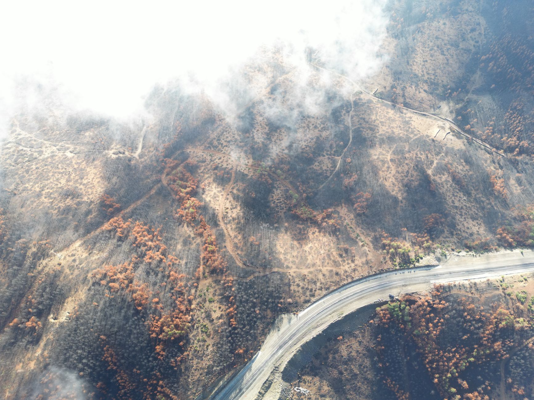 BC wildfire map social still 2