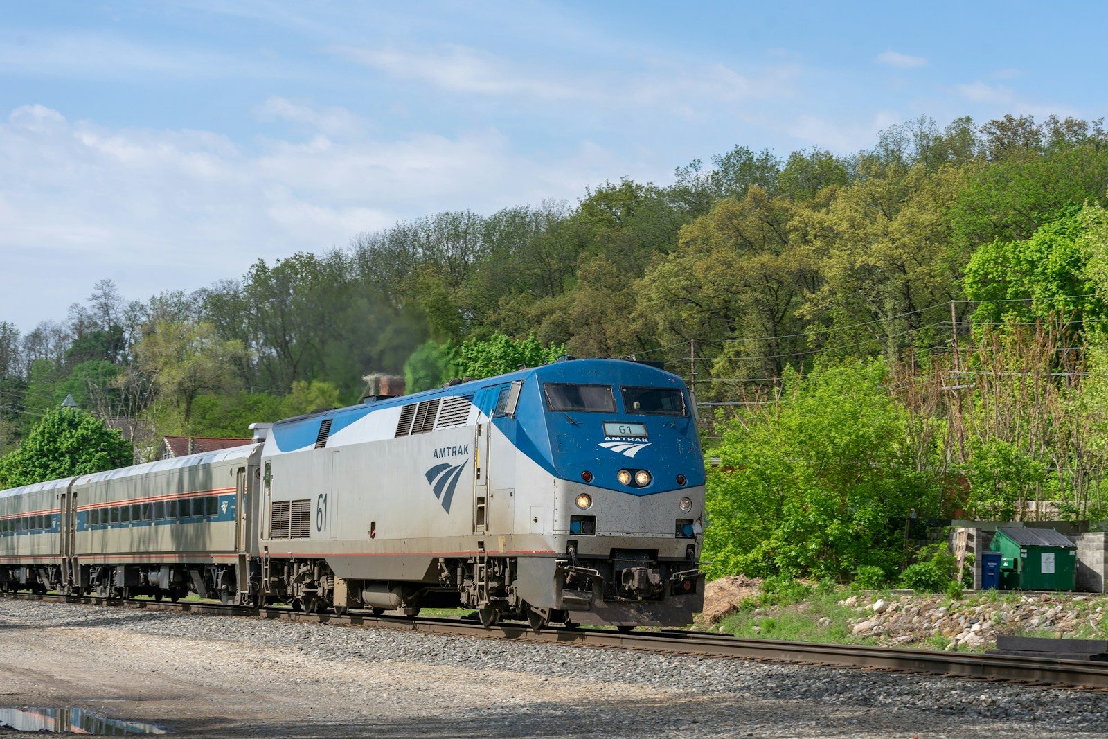 Пасажирський поїзд Amtrak на лісистій ділянці колії