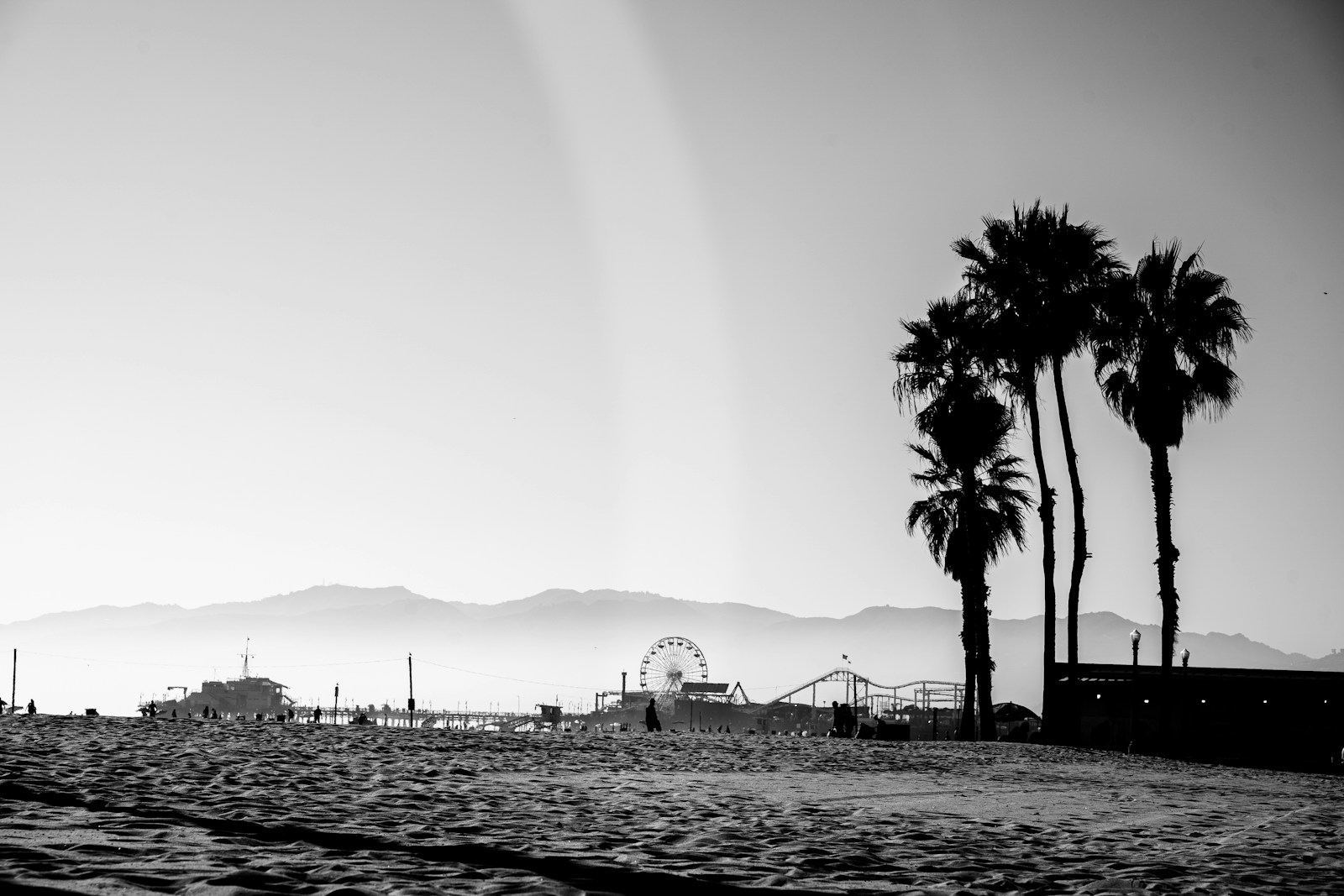 Santa Monica beach and pier at golden hour with palm trees