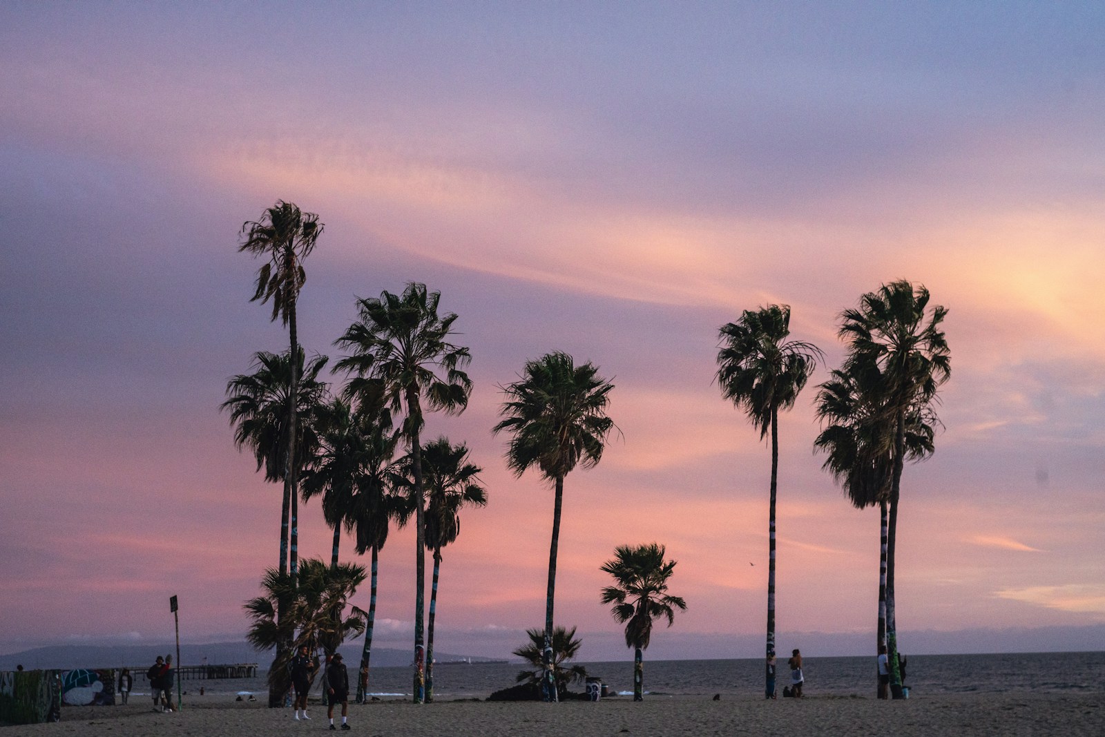 Venice Beach boardwalk with palm trees