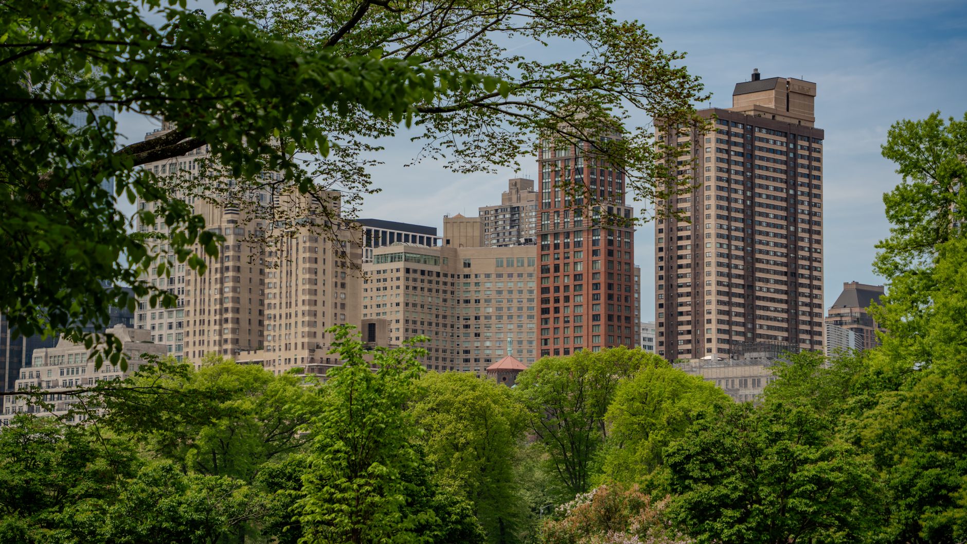 Central Park with the Manhattan skyline behind