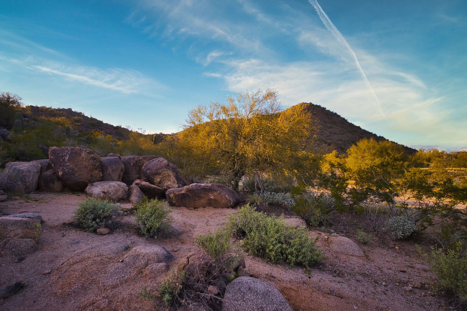 Phoenix valley view from a desert trail