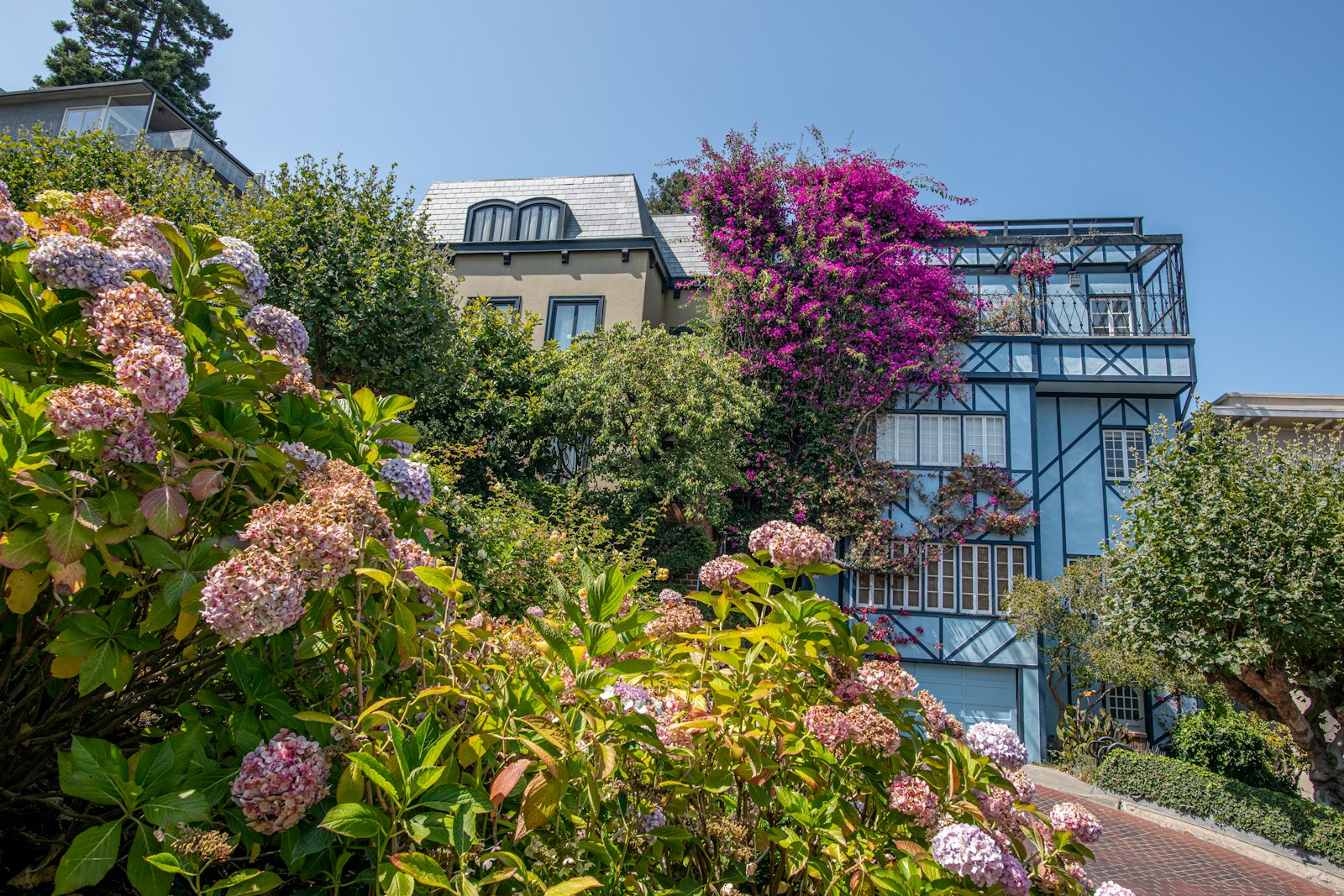 The famous curves of Lombard Street lined with flowers