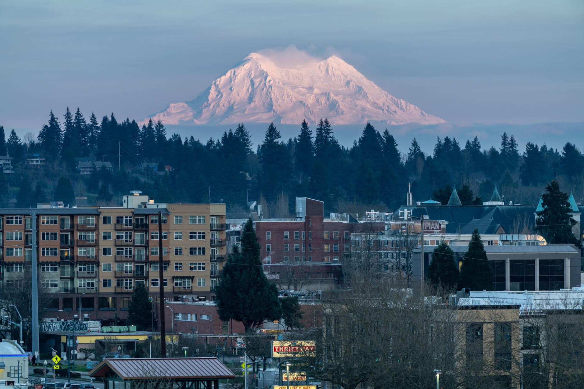 Mount Rainier rising above Washington forests